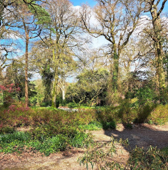 Mount Congreve Gardens