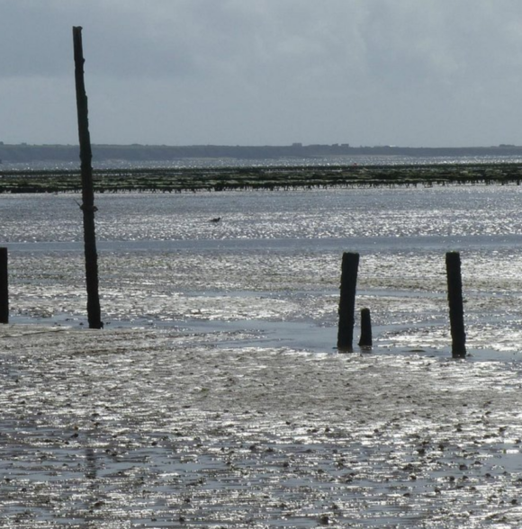 Woodstown Strand