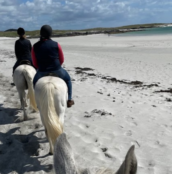 Point Pony Trekking & Horse Riding Centre