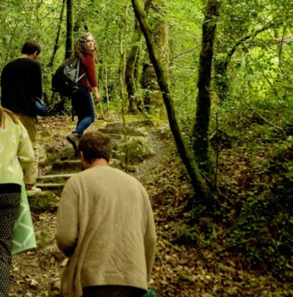 Glengarriff Forest Therapy & Walk