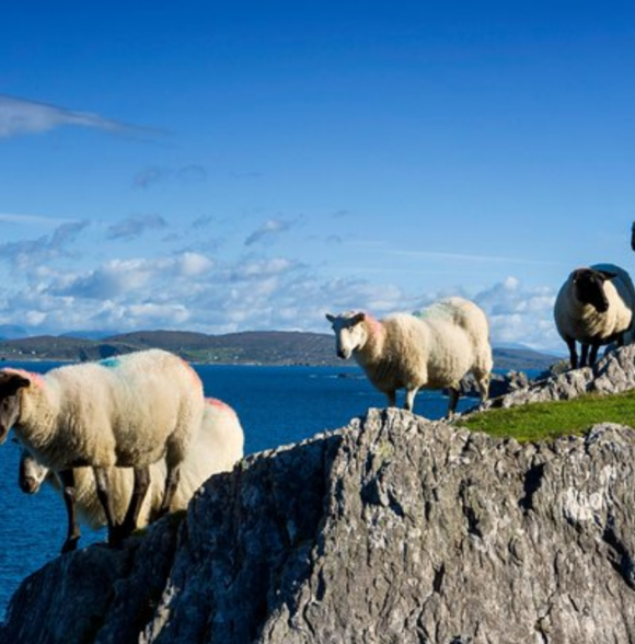 Beautiful South West Tour