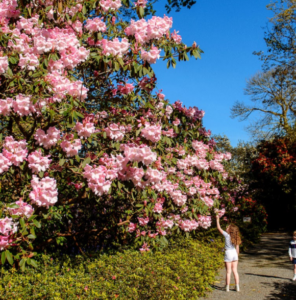 Mount Congreve Gardens