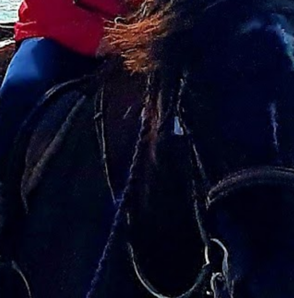 Point Pony Trekking & Horse Riding Centre