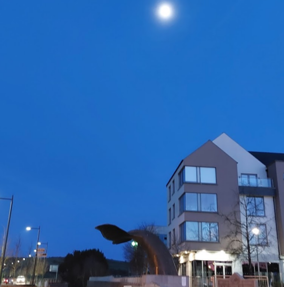 Clonakilty Distillery Visitor Centre & Minke Gin School