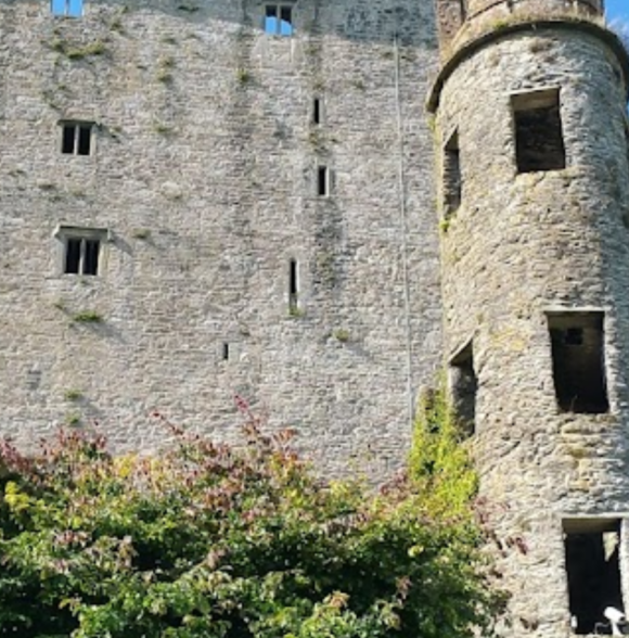 Blarney Caravan and Camping Park