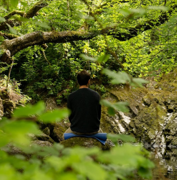 Glengarriff Forest Therapy & Walk