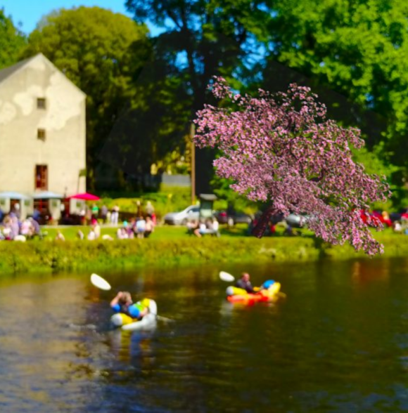 PADDLE YOUR OWN CANOE