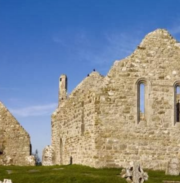 Discover the Shannon