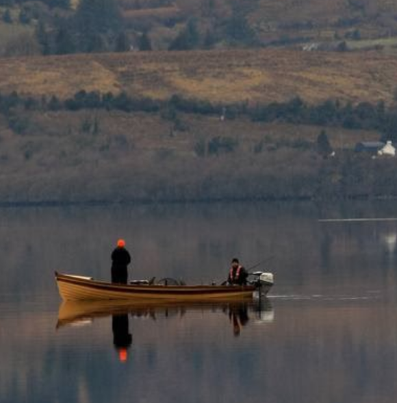 Discover the Shannon