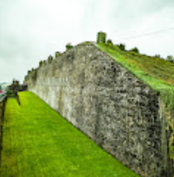Camden Fort Meagher