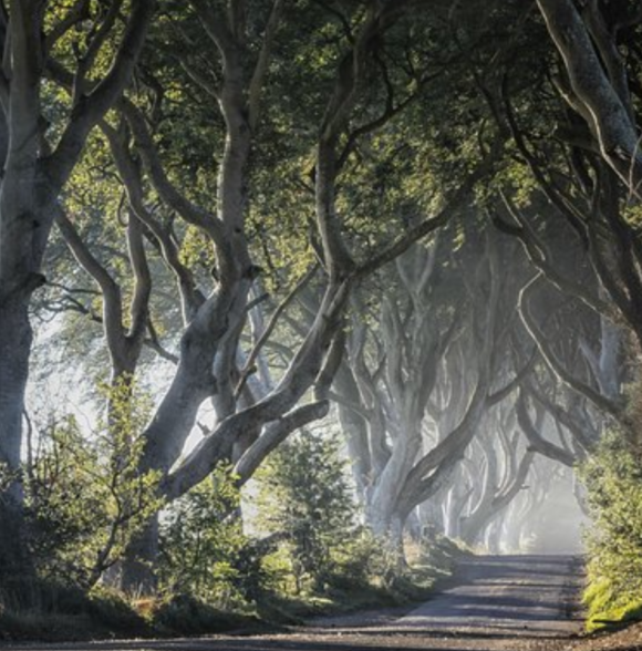 Giants Causeway Tour