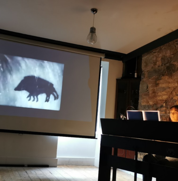 Silent Cinema & Film Studio