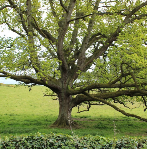 Game of Thrones Tours