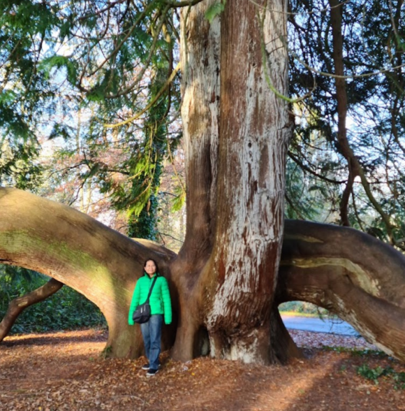 Blarney Castle & Gardens