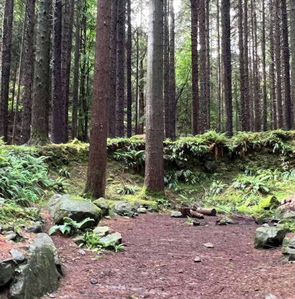 Game of Thrones Tours