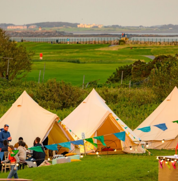 Galway Summer Garden