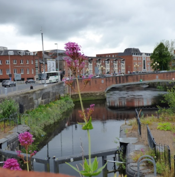 Park Canal Limerick