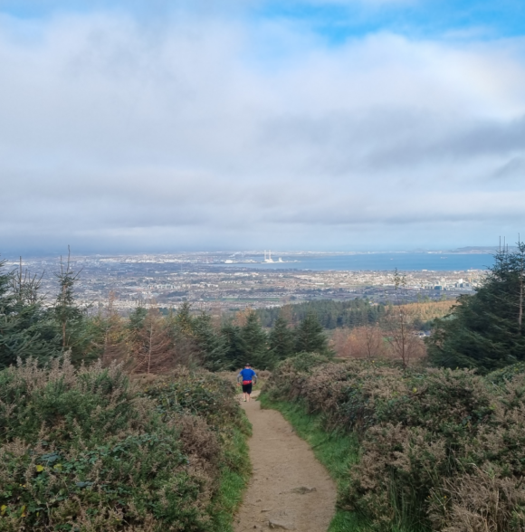 Glencullen Adventure Park