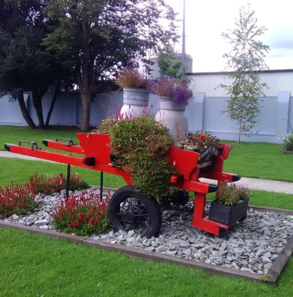 Exploring Cork: 10 Gems on the Culture Trail