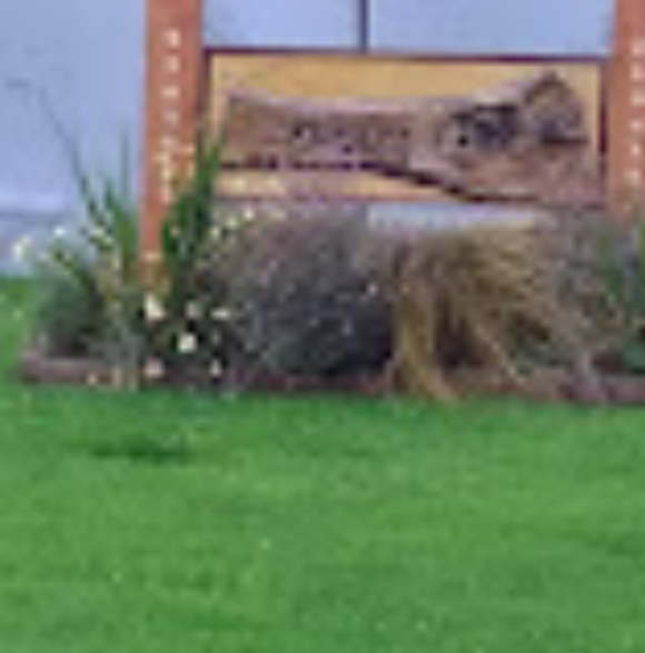 Exploring Cork: 10 Gems on the Culture Trail