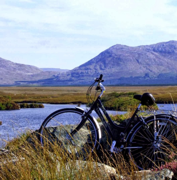 Wolfhound Adventure Tours