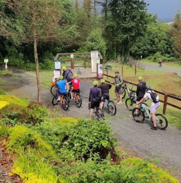 Ballyhoura mountain bike trails