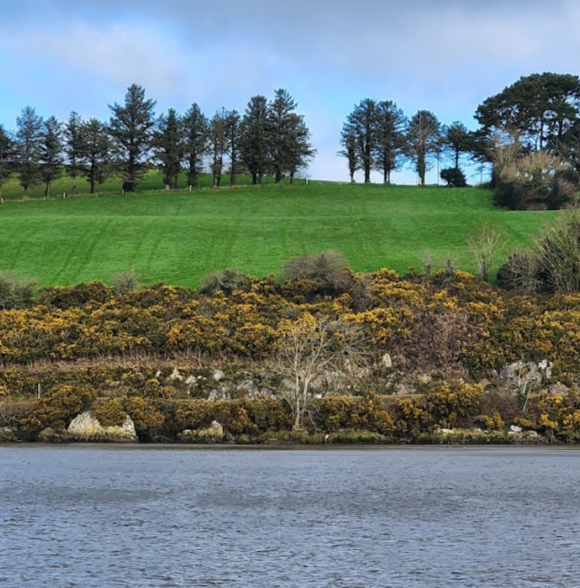Osprey Viking Cruises