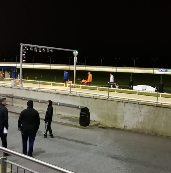 Limerick Greyhound Stadium