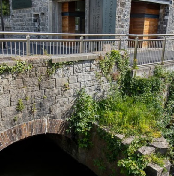 Bank of Ireland Theatre