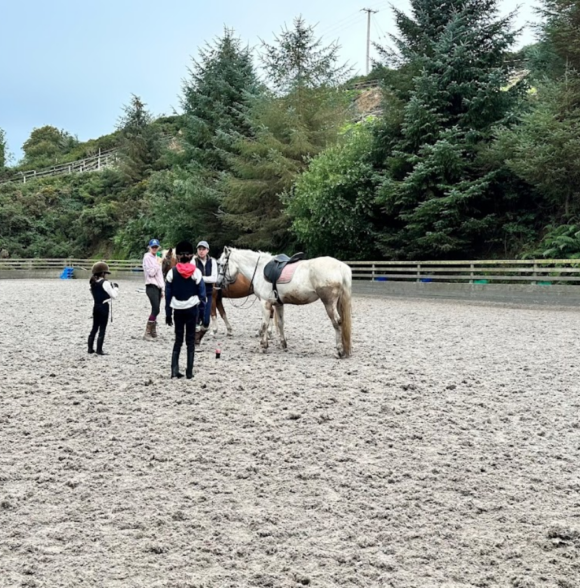 The Paddocks Riding Centre