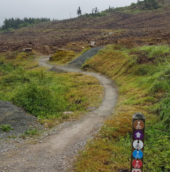 Ballyhoura mountain bike trails