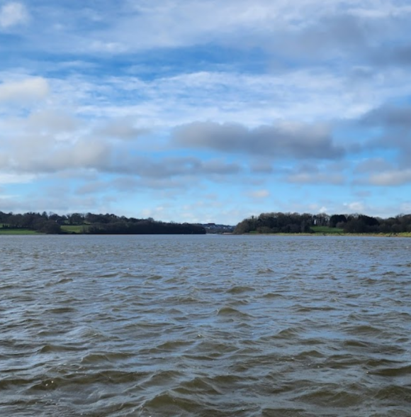 Osprey Viking Cruises