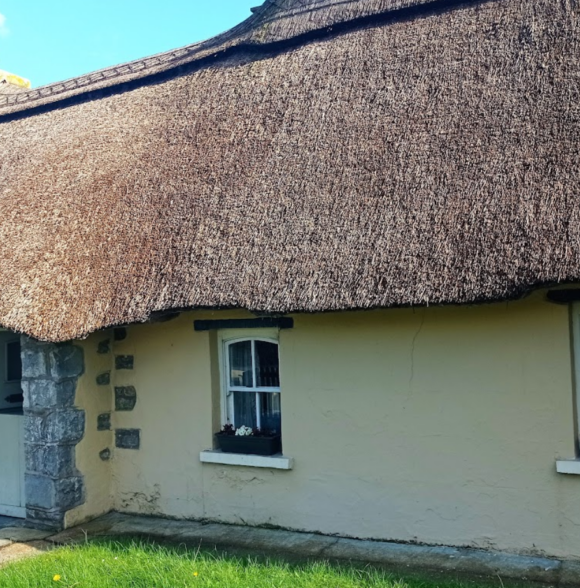 Ocean Escapes Cork City