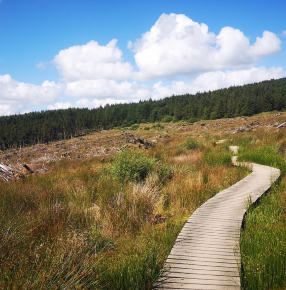 Ballyhoura mountain bike trails