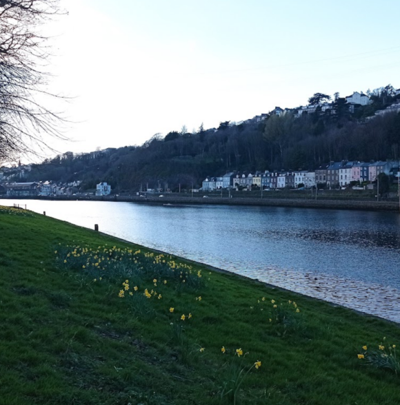 Ocean Escapes Cork City