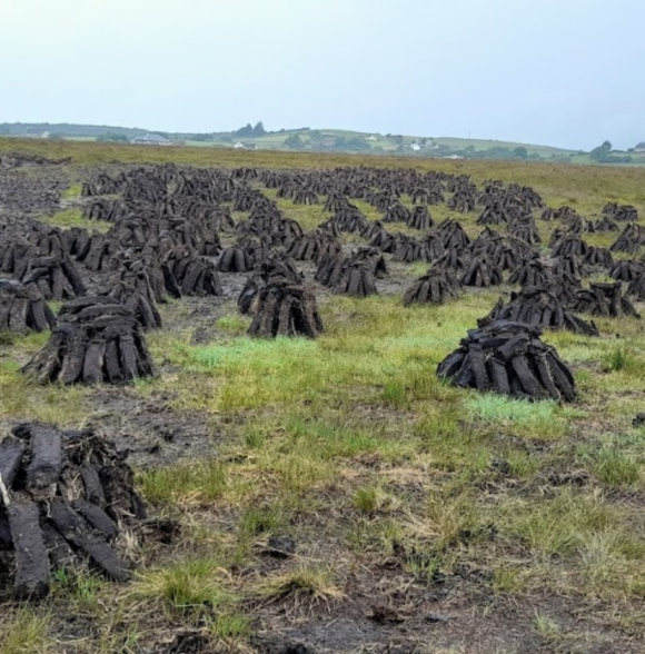 Eile Mental Activity Park