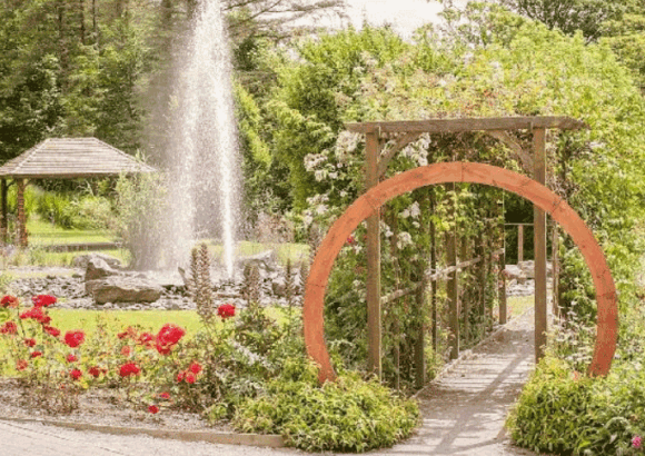 Fernhill House Gardens: A Slice of Pure Cork