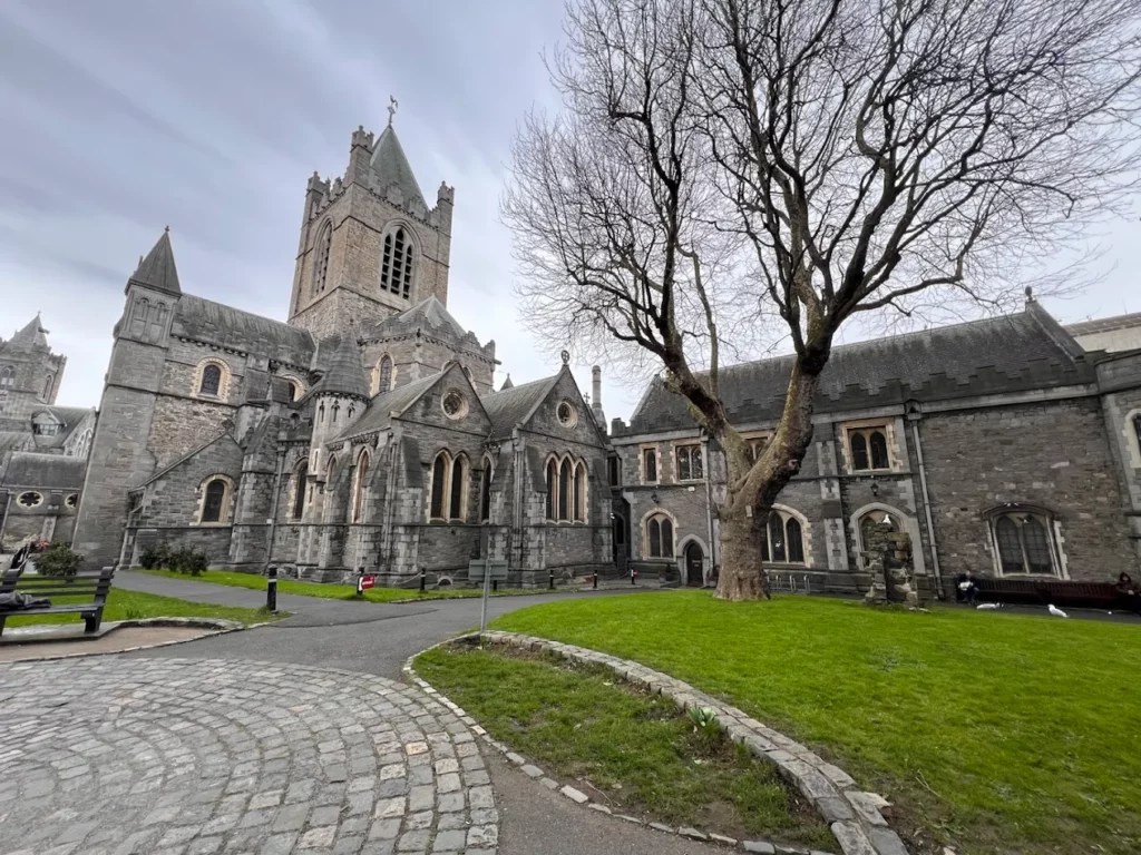 Dublinia