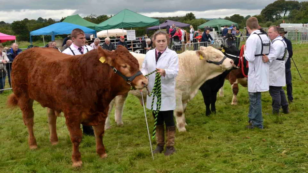 Ireland in August