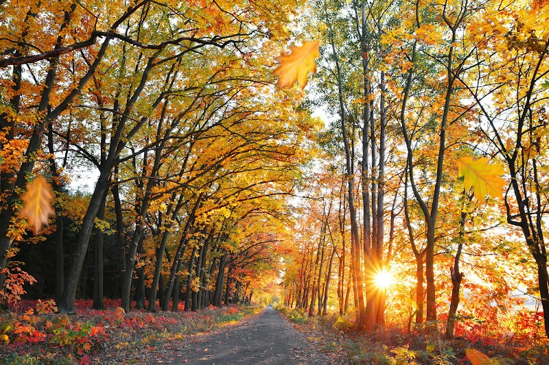 Ireland in September
