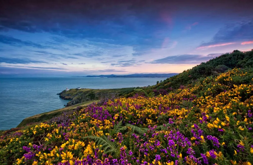 May in Ireland